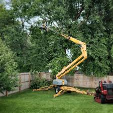 Tangerine, FL Tree Removal Company